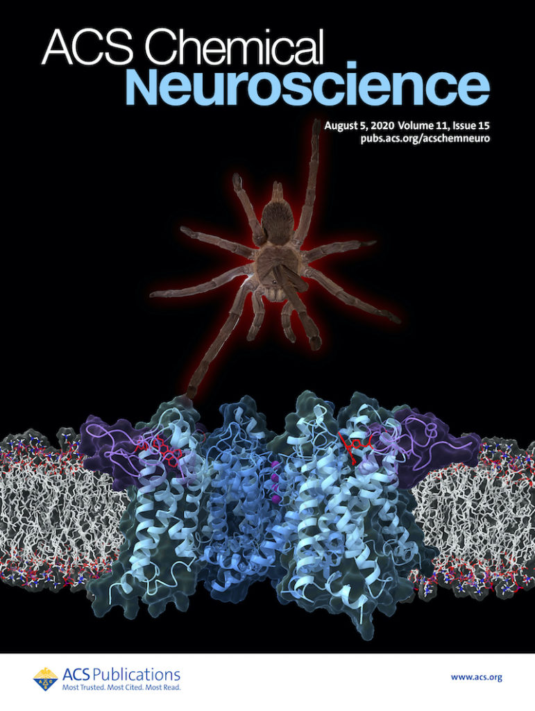 Cover of ACS Chemical Neuroscience August 5, 2020