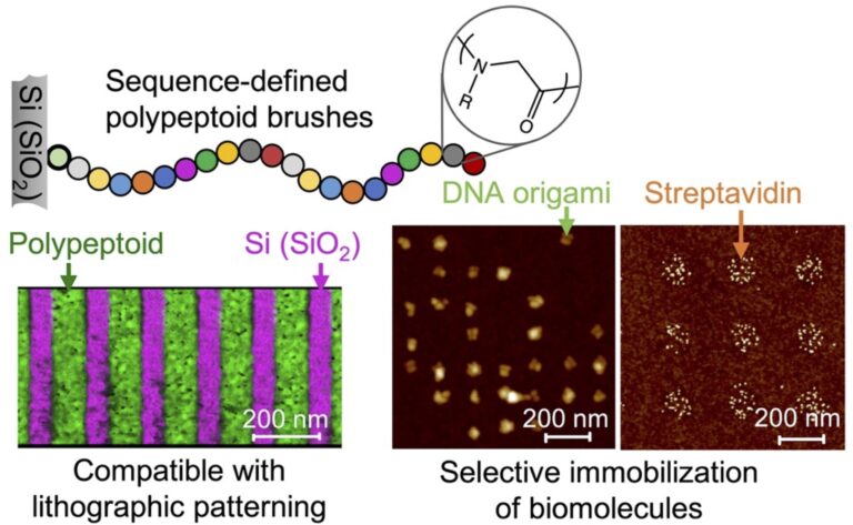 Nanopatterned Polypeptoid Brushes for Semiconductor/Bio Interfaces
