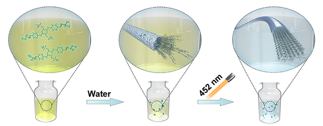 Polymer Aggregate Formation Unlocking topochemical polymerization in single crystals, polycrystals ...
